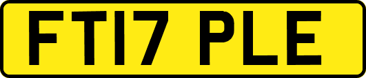 FT17PLE