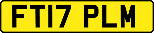 FT17PLM