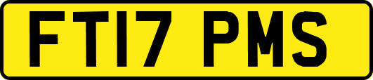 FT17PMS