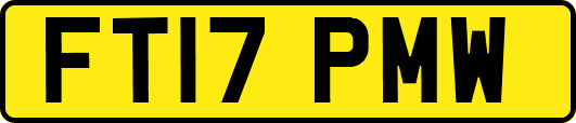 FT17PMW