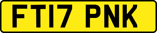 FT17PNK