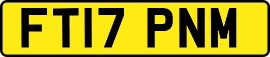 FT17PNM