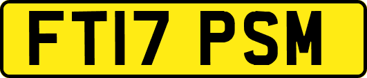 FT17PSM