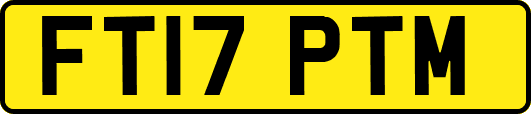 FT17PTM
