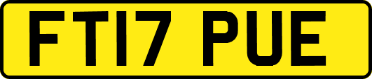 FT17PUE