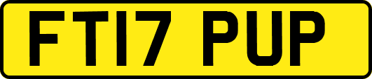 FT17PUP