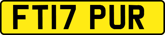 FT17PUR
