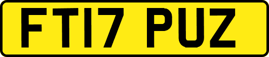 FT17PUZ