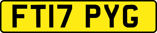 FT17PYG