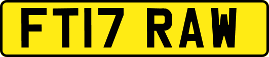 FT17RAW