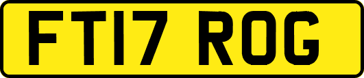 FT17ROG