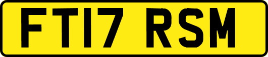 FT17RSM