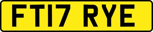 FT17RYE