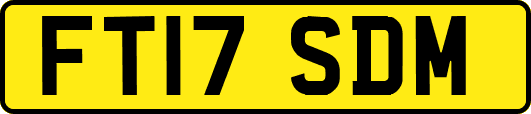 FT17SDM