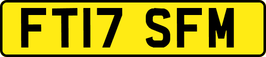 FT17SFM