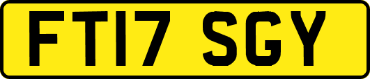 FT17SGY