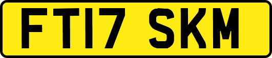 FT17SKM