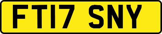 FT17SNY