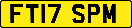 FT17SPM