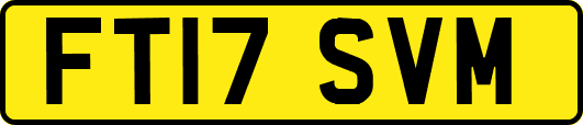 FT17SVM