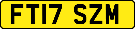 FT17SZM