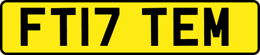 FT17TEM
