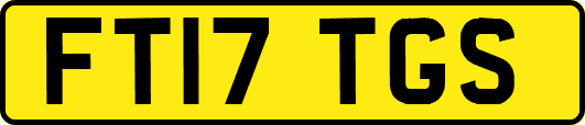 FT17TGS