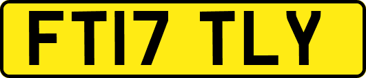 FT17TLY