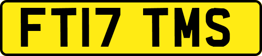 FT17TMS