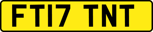 FT17TNT
