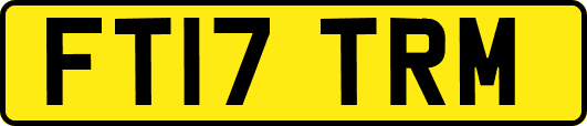 FT17TRM