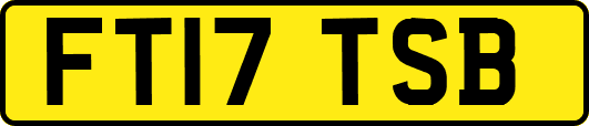 FT17TSB