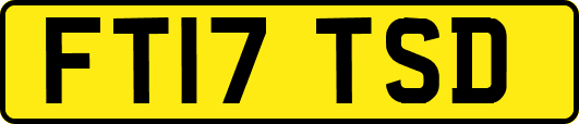 FT17TSD