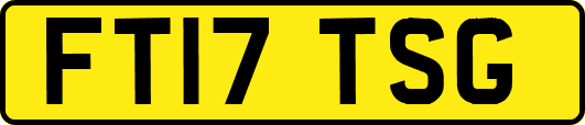 FT17TSG