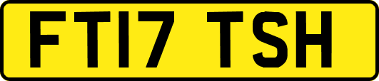 FT17TSH
