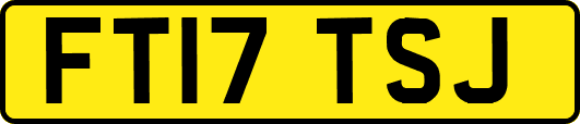 FT17TSJ