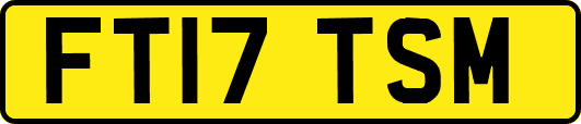 FT17TSM