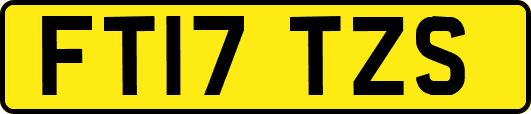 FT17TZS