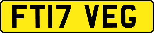 FT17VEG