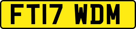 FT17WDM