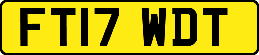 FT17WDT