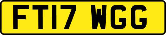 FT17WGG