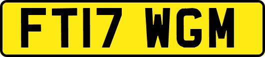 FT17WGM