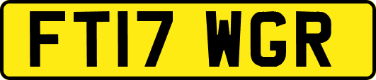 FT17WGR