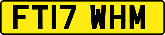 FT17WHM