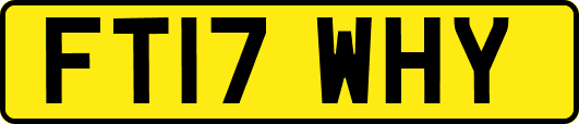FT17WHY