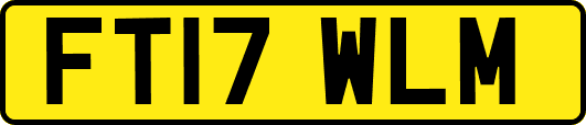 FT17WLM
