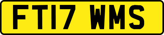 FT17WMS