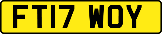 FT17WOY