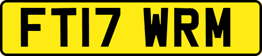 FT17WRM